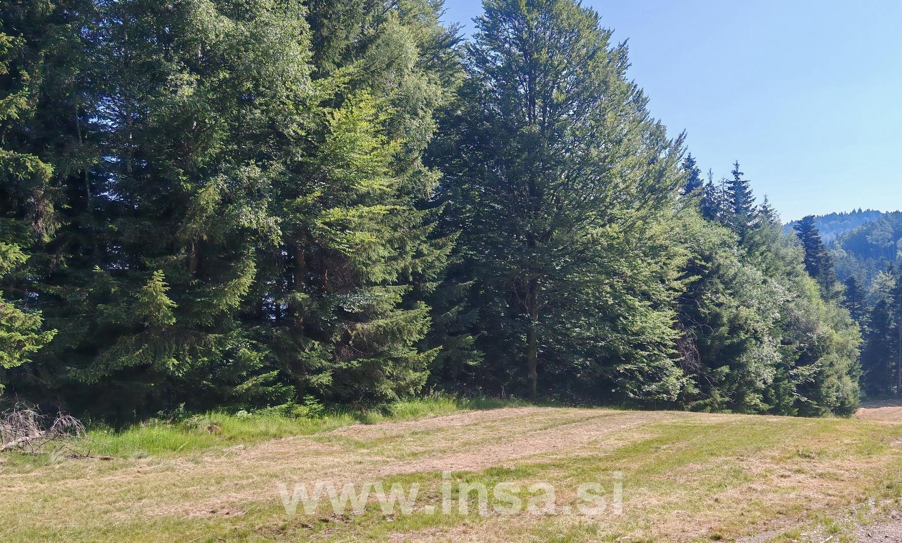 Zemljišče, Gozd, RUŠE